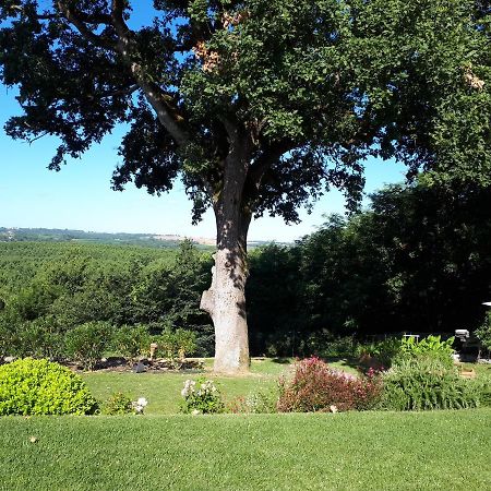 Sainte-Marthe  La Chenaie Bed & Breakfast エクステリア 写真