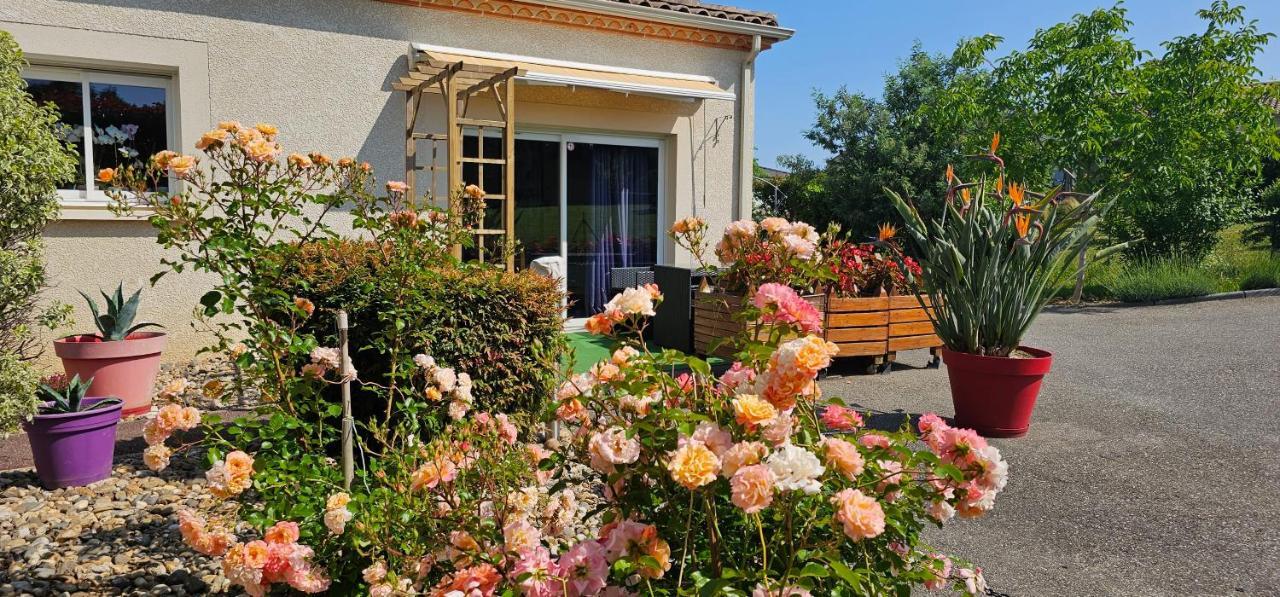 Sainte-Marthe  La Chenaie Bed & Breakfast エクステリア 写真